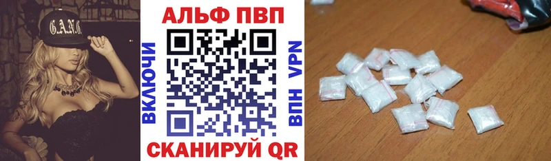 A PVP СК КРИС  Терек 