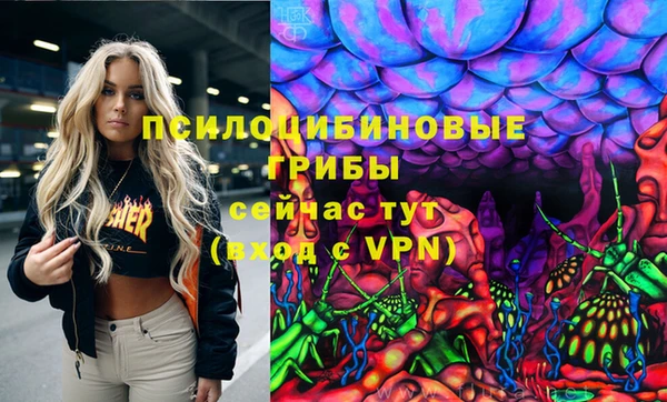 тгк Корсаков