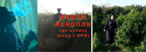 стаф Касимов
