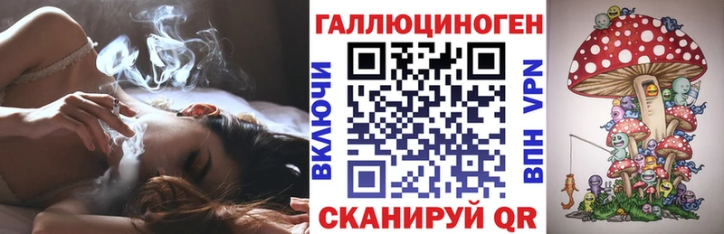 omg зеркало  Терек  Псилоцибиновые грибы мицелий  наркошоп 