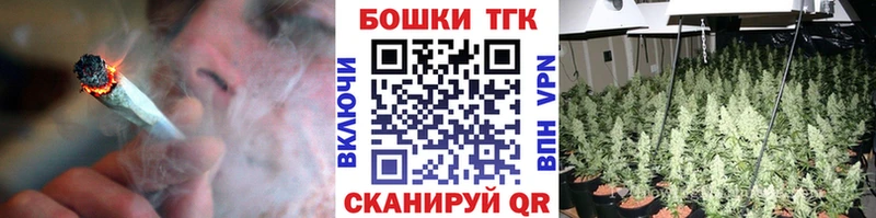 Бошки Шишки план  Терек 